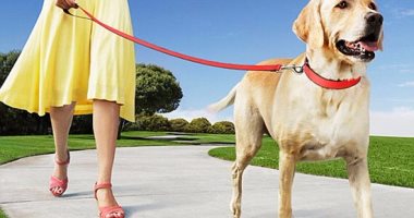 دراسة: تربية الكلاب تحفز على زيادة النشاط البدنى