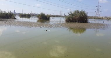 7 معلومات عن بحيرة مريوط بعد توجيه الرئيس السيسى بإزالة التعديات عليها.. صور
