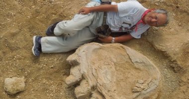 بالصور.. اكتشاف آثار "أقدام ديناصورات" تزن 90 طنا بصحراء جوبى