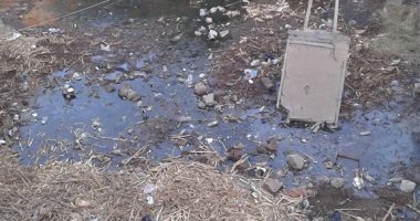 بالصور.. مياه الصرف الصحى تحاصر منازل قرية ميت حبيب بالغربية 