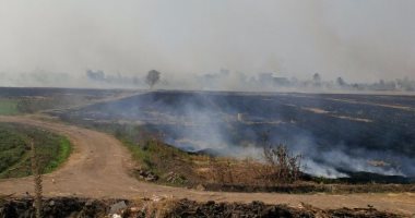 مواطن يرصد حرق قش الأرز فى قرى ميت غمر بالدقهلية