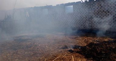 17 محضر حرق قش أرز و16 حالة تعد على الأراضى بكفر الشيخ 