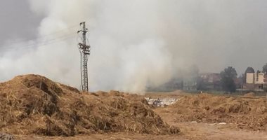 تحرير 300 مخالفة حرق قش أرز خلال موسم الحصاد بدمياط