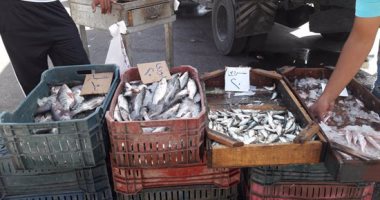 بالصور.. ننشر أسعار الأسماك فى مبادرة "الشعب يأمر" ببورسعيد