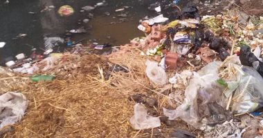 صحافة المواطن: بالصور.. القمامة تحاصر قرية أبو دشيشة فى الدقهلية