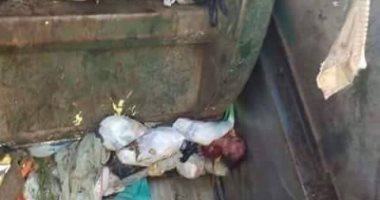 رواد "فيس بوك" يتداولون صورة طفل ملقى داخل صندوق إحدى سيارات القمامة