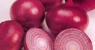  دراسة كندية تؤكد: تناول البصل الأحمر يدمر الأورام 