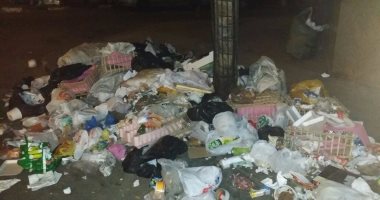 بالصور.. تراكم القمامة بشارع البستان فى وسط البلد