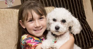 الكلاب أحدث وسيلة للعلاج.. تكشف مبكرا عن الأورام وتعالج طفل التوحد
