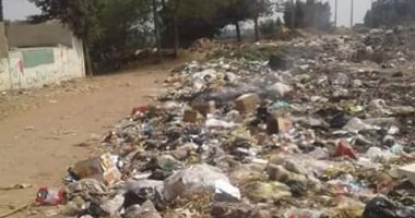 أهالى قرية ميت اشنا بالدقهلية يشتكون من انتشار القمامة