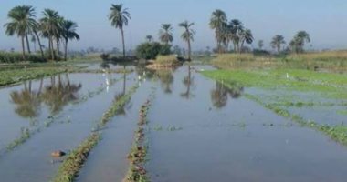 قارئ يشارك بصور آثار السيول على الأراضى فى قرية "ساقلتة" بسوهاج