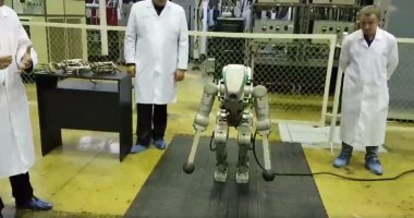 بالفيديو.. روسيا تستعد لإنشاء جيش من الروبوتات