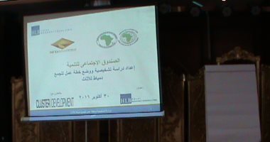 بالفيديو..مدير الصندوق الاجتماعى بدمياط: نسعى لتطوير صناعة الآثاث