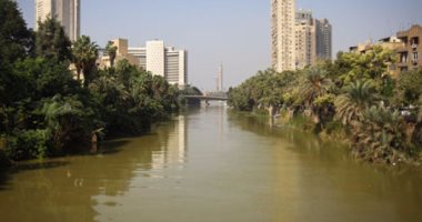 بالفيديو والصور.. نهر النيل يكتسى باللون الأصفر لون مياه السيول