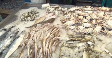 "شعبة السمك": فصل الشتاء وبرودة الجو رفعت أسعار الأسماك المحلية 20%
