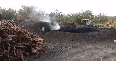 محافظ القليوبية: حظر تشغيل مكامير الفحم المخالفة