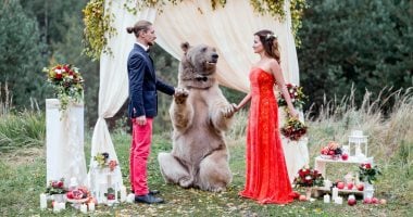 بالصور..دب عملاق يحضر حفل تبادل عهود الزواج لزوجين روسيين