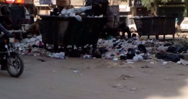 بالصور.. انتشار القمامة بشارع الأربعين خلف حديقة بدر فى جسر السويس