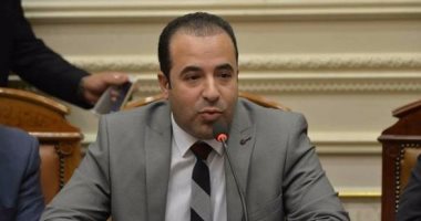 النائب أحمد بدوى: وزير الصحة أدرج "طوخ المركزى" بالخطة العاجلة للعام الجديد