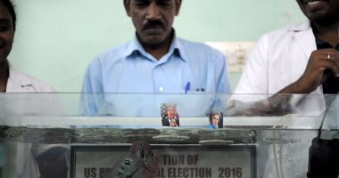 سمكة هندية تتوقع فوز دونالد ترامب برئاسة الولايات المتحدة