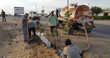 أهالى قرية 6 أكتوبر بشمال سيناء ينظمون حملة لزراعة محيط الطريق 