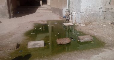 بالصور..مياه المجارى والحشرات تحاصر سكان مساكن عثمان بطور سيناء