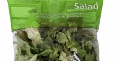 باحثون: أكياس الخضراوات المحفوظة تربة خصبة لنمو "السالمونيلا" القاتلة