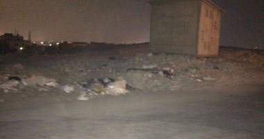 قارئ يطالب بدوريات أمنية وإنارة طريق المستثمر الصغير بمدينة العبور  