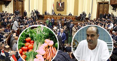 وكيل "زراعة البرلمان" يتقدم بطلب إحاطة بسبب تراجع انتاج المحاصيل الزراعية