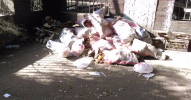 قارئ يشكو من انتشار القمامة فى شارع المتحف الزراعى بالدقى 