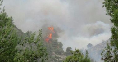 بالصور.. إسرائيل تكشف عن خسائرها.. تدمير 3 ملايين متر غابات بسبب الحرائق