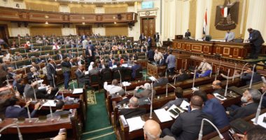 "دفاع البرلمان": قانون منح الجنسية للأجنبى بوديعة تشجيع على الاستثمار 