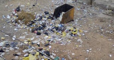 معاناة سكان "نزلة عبد اللاه" فى أسيوط مع الناموس والكلاب بسبب القمامة