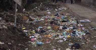 بالصور..تراكم القمامة بقرية "شنشور" بمحافظة المنوفية