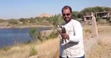 بالفيديو.. محميات أسوان تطلق سراح "صقر شاهين" عقب ضبطه مع صياد