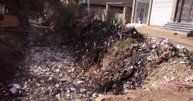 بالصور.. قرية منية محلة دمنة بين طفح الصرف الصحى وتراكم القمامة