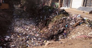 بالصور.. أهالى قرية منية دمنة يعانون من مشاكل القمامة والصرف الصحى