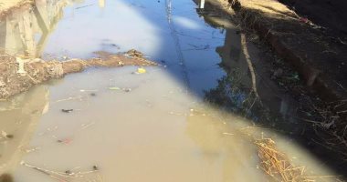 بالصور.. غرق شوارع قرية الوزارية بمياه الأمطار لعدم استكمال مشروع الصرف