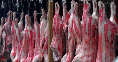 "الزراعة" تشن حملات مكثفة على أسواق اللحوم فى أعياد الميلاد لضبط المخالفين