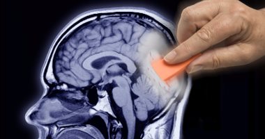 دراسة: العقل البشرى يمكنه استعادة بعض الذكريات المفقودة
