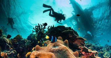 5 معلومات عن جزيرة شدوان بالبحر الأحمر أبرزها تمتعها بشعاب مرجانية نادرة
