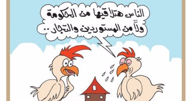 الفراخ تواسى الناس بعد عمايل الحكومة والتجار فى كاريكاتير اليوم السابع