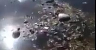 بالفيديو.. سيارات مجلس مدينة طنطا تلقى القمامة فى بحر برديس