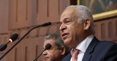 رئيس لجنة الشباب بالبرلمان: تنظيم زيارة لمنتخب مصر غدا قبل سفره للجابون