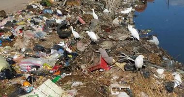 القمامة تواصل انتشارها بشوارع قرية الجرايدة بكفر الشيخ وحول محطة مياه الشرب