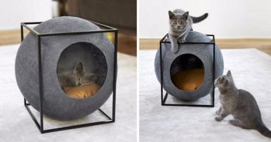 لو عندك قطط.. بالصور أفكار مبتكرة لبيت القطط اختارى منها