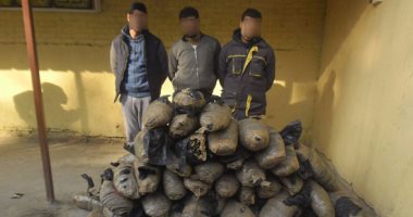 ضبط تشكيل عصابى بحوزته 160 كيلو بانجو فى المنوفية