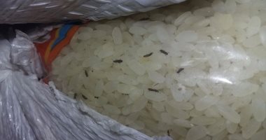ضبط سكر وأرز وسلع غذائية منتهية الصلاحية فى حملة تموينية بالغربية