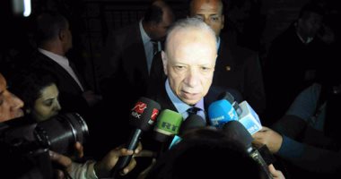 محافظ القاهرة: مجلس الوزراء قرر تشكيل لجنة للتفتيش على الشون والصوامع