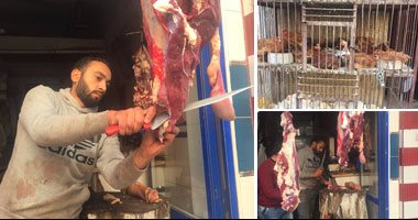 الشركة المصرية للحوم: وصول 5 آلاف رأس ماشية من جيبوتى واللحوم متوفرة خلال رمضان